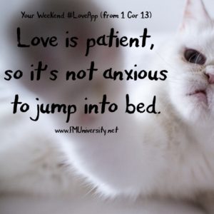 LoveApp-patient bed-final